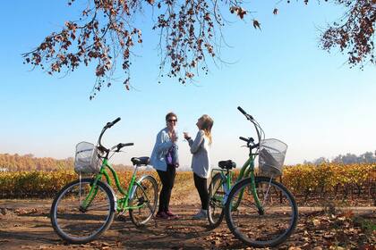 Valle del Maipo, muy cerquita de Valparaíso
