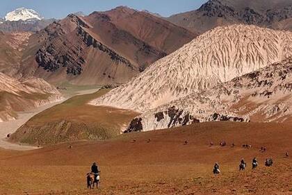 En San Juan el dólar paralelo está ahora a $280 para la compra y $286 para la venta