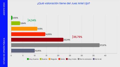 Valoraciones del juez Ariel Lijo