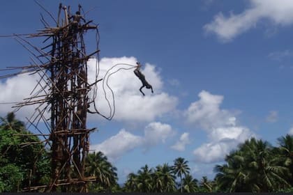 En Vanuatu, archipiélago del Pacífico sur, los adolescentes suelen lanzarse desde torres de quince metros de altura para demostrar que son los suficientemente valientes como para convertirse en hombres