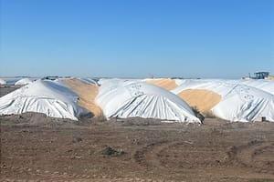 Misterioso ataque a silobolsas en medio de un conflicto que preocupa al agro