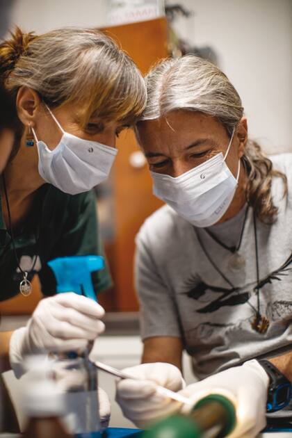 Vanesa Astore y Luis Jacome