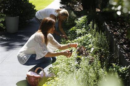 Vanesa Be utiliza a diario la huerta de su edificio ubicado en Barrancas de Belgrano