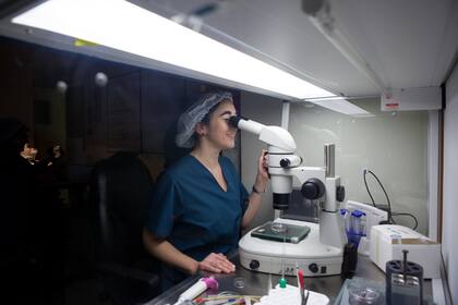 Vanina Julianelli trabaja en Procrearte, un centro al que acuden parejas que buscan tener hijos