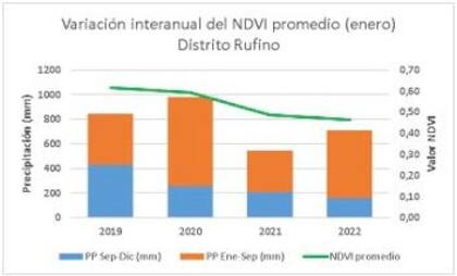 Variación interanual del NVDI promedio de enero en el distrito Rufino