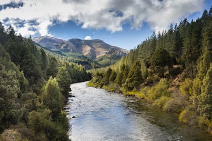 Varias ciudades argentinas ocuparon el ranking en los últimos años.