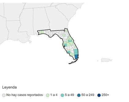 Varias ciudades de Florida informaron casos de dengue en 2024, con Miami-Dade como el condado con más gente afectada