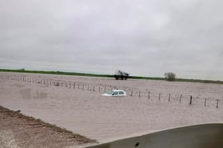 Tormenta de Santa Rosa: las 4 enfermedades graves que pueden surgir tras las inundaciones, según un especialista