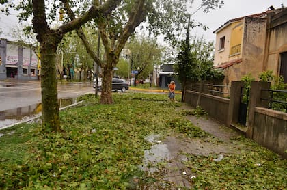 Varias personas heridas, automóviles y viviendas destrozados fueron la consecuencia del temporal de lluvia y granizo que azotó anoche a la ciudad de Villa Mercedes, San Luis