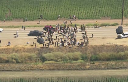 Varias personas se congregaron en los alrededores de las instalaciones agrícolas tras la redada del ICE