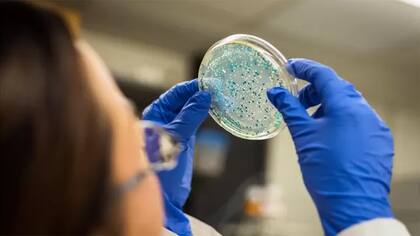 Varias pruebas han demostrado que el ejercicio tiene un impacto positivo sobre nuestras bacterias intestinales