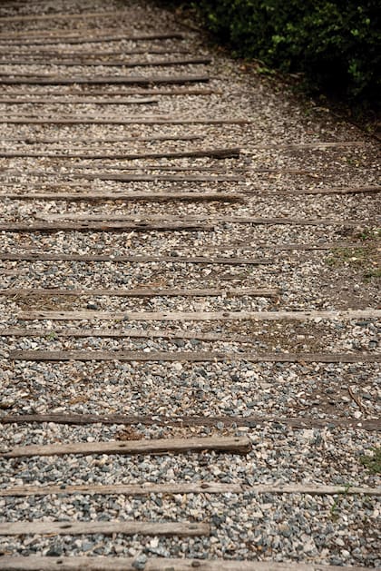 Varillas de alambrado demarcan el sendero de este pequeño jardín seco. Bajo un enorme sauce, se fueron disponiendo buxus podados como esferas con hiedra debajo