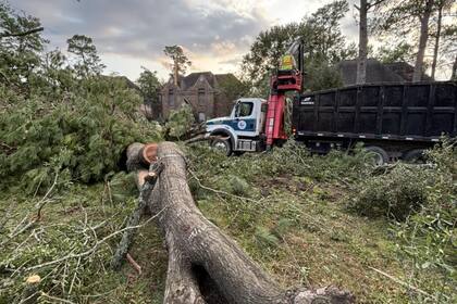 Varios árboles fueron derribados por el tornado en Houston