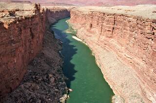 Día de la Tierra: películas y documentales para ver en la pantalla chica