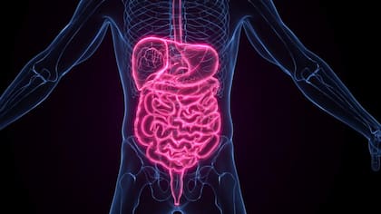 Varios ensayos a corto plazo han sugerido que este estilo de alimentación puede llevar a cierta pérdida de peso y reducir la presión arterial
