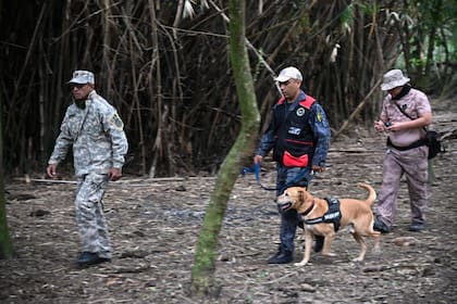 Varios equipos de rastreadores llegaron a Corrientes, pero no pudieron encontrar indicios sobre el paradero de Loan