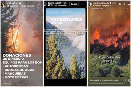 Varios famosos compartieron cuentas a dónde se puede dirigir las donaciones para ayudar tanto a los habitantes del lugar como a los bomberos