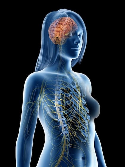 Varios trastornos neurológicos y psiquiátricos afectan a hombres y mujeres en tasas y proporciones diversas