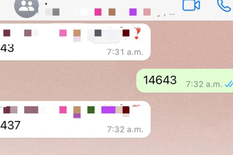 WhatsApp: por qué motivo los jóvenes se mandan el número “14643″ y qué ...