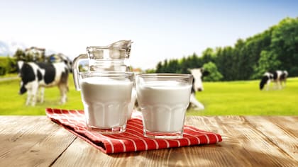 La composición de la leche depende del animal que la produce