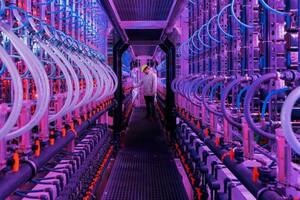 Vaxa baña las microalgas con una luz rosa-violeta (Foto: VAXA)