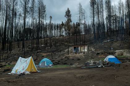 Vecinos de la Comarca Andina reconstruyen sus viviendas, que fueron destruidas durante el incendio forestal