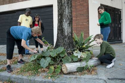 Vecinos de todas las edades colaboran en la huerta callerjera