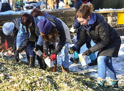Vecinos pueden ayudar a reciclar los árboles de Navidad en el Mulchfest (NYC Parks)