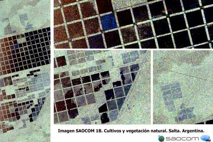Vegetación y cultivos en la provincia de Salta