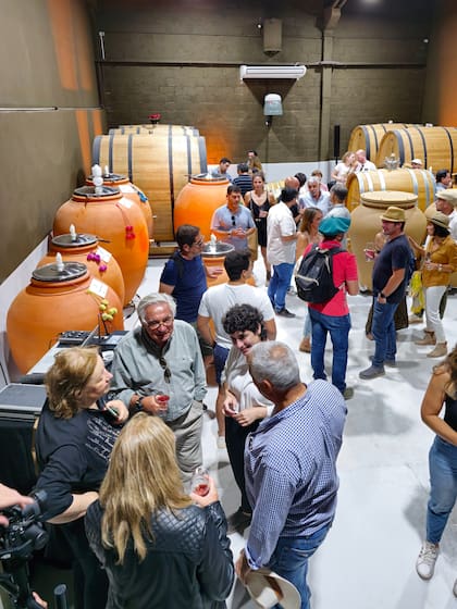 Vendimia 2023 en El Bayeh, Maimará.