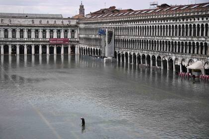 Venecia fue golpeada por la marea más alta en más de 50 años a fines del 12 de noviembre