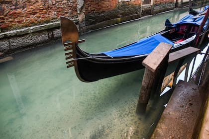 En los canales se puede ver el fondo a través de agua que por la falta de tráfico se ve verde y cristalina