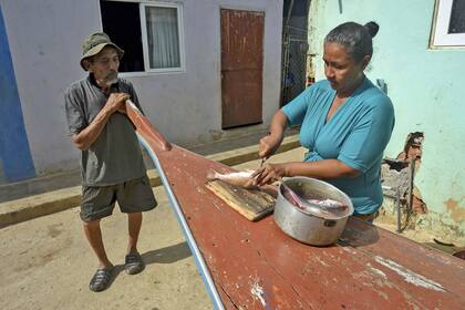 Una mujer limpia el pescado extraído del contaminado lago de Maracaibo,.