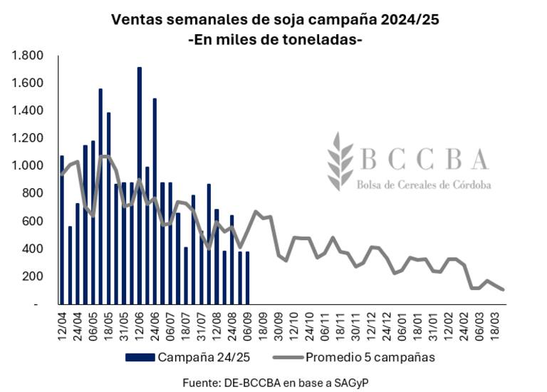 Ventas semanales de soja campaña 2024/25