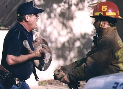 "Veo algo moverse hacia la izquierda, en el rabillo del ojo. Giro con mi cámara; es un policía cargando algo. Capturo la imagen justo en el momento en que el policía se lo entrega a un bombero. El bombero se da la vuelta y veo que sostiene a un bebé", dijo Porter (Charles Porter IV distributed by Associated Press)