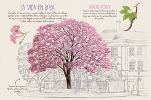 "Veo Veo en Buenos Aires" ofrece una guía para recorrer la ciudad con los sentidos bien atentos