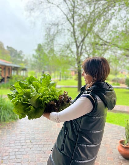 Verduras de la huerta en Pampas del Sur