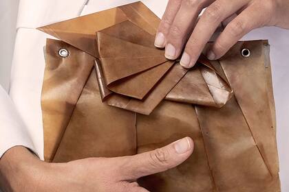 Verónica Bergottini creó un biomaterial a base de yerba mate