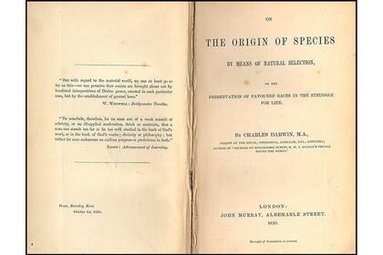 Versión orginal de "El Libro de las especies"