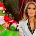 Vestida de Grinch: el hilarante mensaje de Navidad de Céline Dion