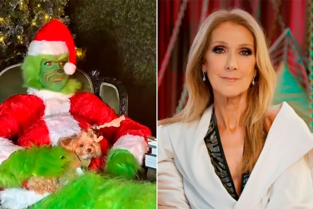 Vestido como o Grinch. A engraçada mensagem de Natal de Celine Dion
