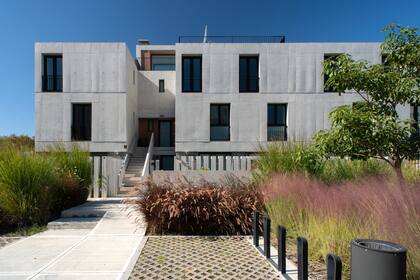 Vetiveria zizanioides genera privacidad en los patios particulares de las unidades del edificio Falúas. El color del follaje de Pennisetum setaceum rubrum y la inflorescencia de Muhlenbergia capillaris en otoño también se llevan bien.