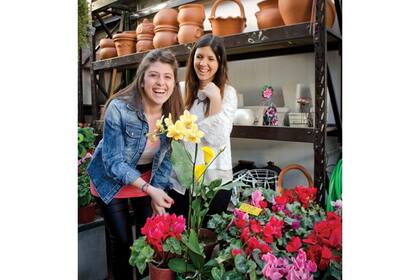 Vía verde es ideal para elegir flores de interior