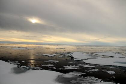 Según Copernicus, el hielo marino del Ártico en enero alcanzó un mínimo récord mensual