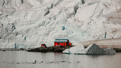 “Viajé en un velero a la Antártida y fue una de las experiencias más increíbles de mi vida".