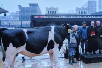 “Todo el mundo lo quería”: murió un maestro de la otorrinolaringología y gran criador de vacas Holando 8 Vicente Diamante en la Exposición Rural de Palermo