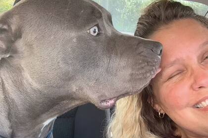 Vickie Shelton se encontró con una terrible escena en su casa al volver del trabajo, pero descubrió que había sido su mascota, Bo