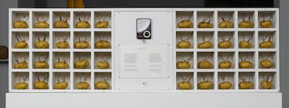 Víctor Grippo, "Analogía I" (1971)