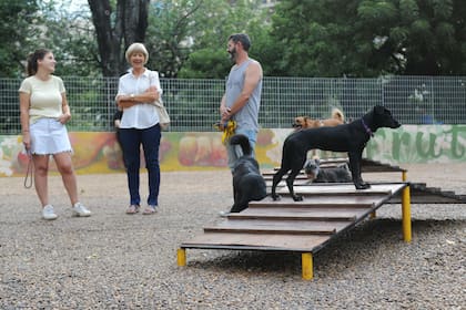 Victoria, Graciela y Pablo charlan mientras sus perros juegan