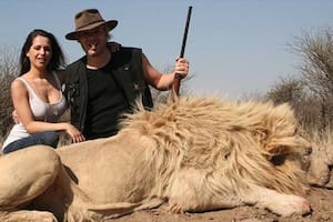 Victoria Vannucci y Matías Garfunkel: de safaris en África y orgías en Europa a un divorcio sin bienes que dividir, cárcel y una casa rodante